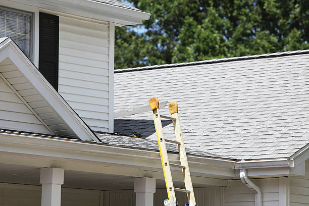 Best Insulated Siding Installation  in Fort Belknap Agency, MT